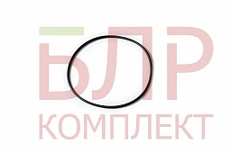82060007 Кольцо уплотнительное модуля, KuhnКПР-9