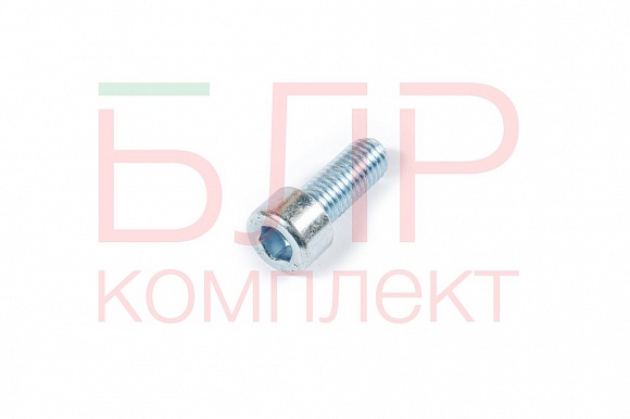 Винт чистика