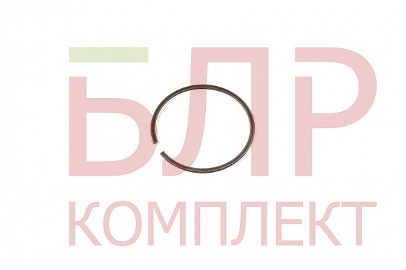 81104576 Кольцо уплотнительное шестерни Z=38, KuhnКПР-9